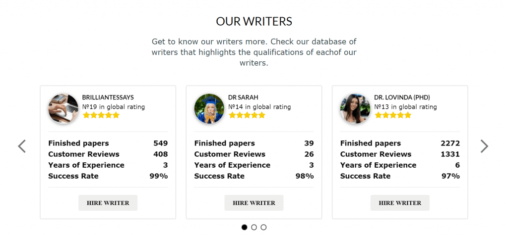 Review of EssayBison.com writers